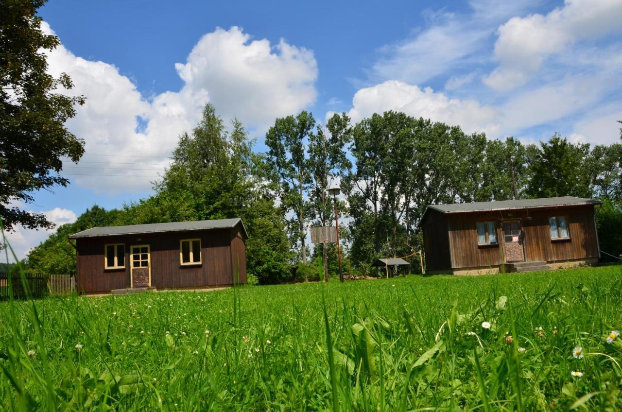 Teichcamp Pansiyon Grosshartmannsdorf Dış mekan fotoğraf