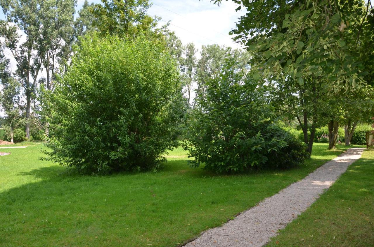Teichcamp Pansiyon Grosshartmannsdorf Dış mekan fotoğraf